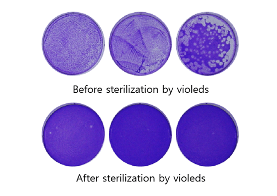 UV LED燈，能不能殺死冠狀病毒？
